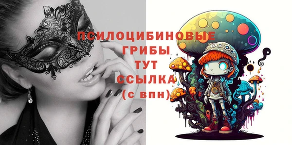 крисы Армянск