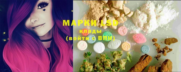 крисы Армянск