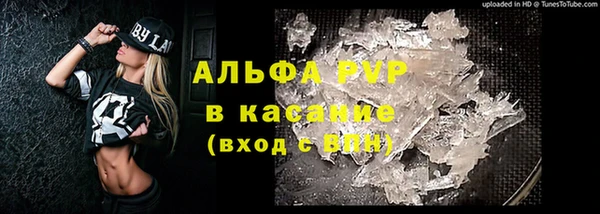 крисы Армянск