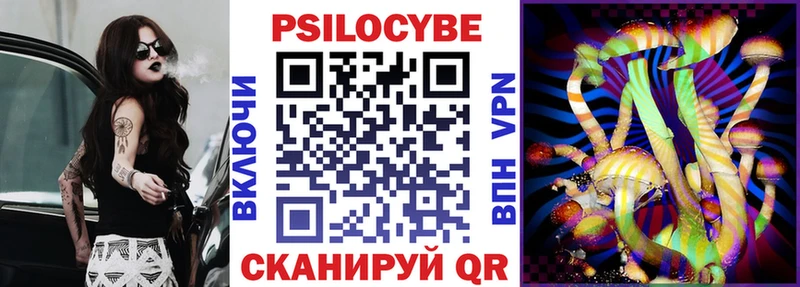 Псилоцибиновые грибы Psilocybe  Сорочинск 